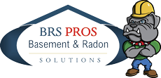 BRS-Logo